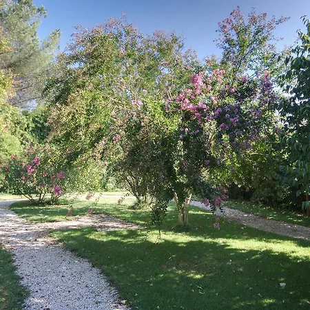 Park Ristorante Ca' Bianca Hotel 3*